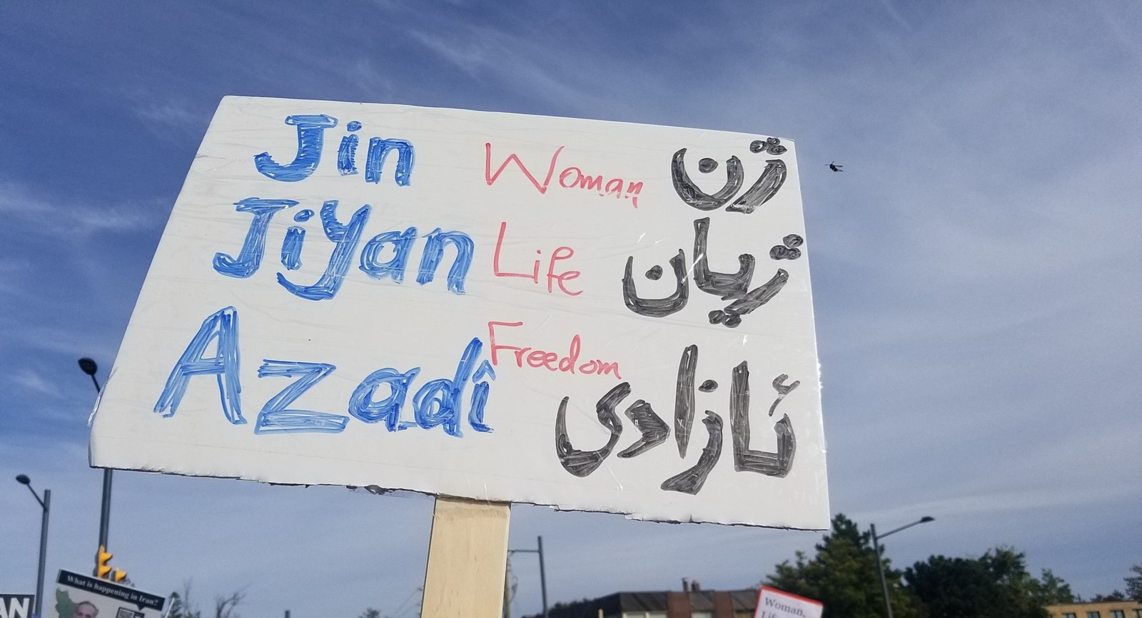 Misogynistic Islam: Appointing Men as Guardians Over Women